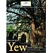 The Ancient Yew: A History of Taxus Baccata