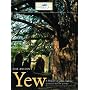 The Ancient Yew: A History of Taxus Baccata