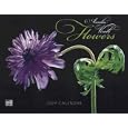 Amalia Veralli Flowers 2009 Calendar