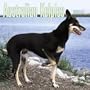Australian Kelpies 2005 Calendar