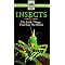 An Insect Inventory