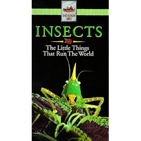 Insects:Little Things That Run the Wo