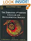 The Zebrafish: Cellular and Developmental Biology, Volume 76, Second Edition (Methods in Cell Biology) (Vol 76)
