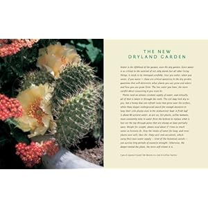 Dryland Gardening: Plants that Survive and Thrive in Tough Conditions