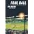 Foul Ball: My Life and Hard Times Trying to Save an Old Ballpark