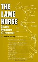 Lame Horse: Causes, Symptoms and Treatment