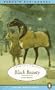 Black Beauty (Classic, Children's, Audio)
