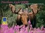 Northern Light: Alaska Wildlife and Wilderness calendar 2009