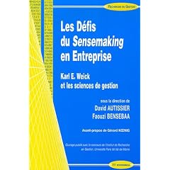 Les D�fis du Sensemaking en Entreprise : Karl E. Weick et les sciences de gestion