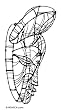 Steel wire mask, 'Regal Wisdom'