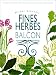Fines herbes au balcon