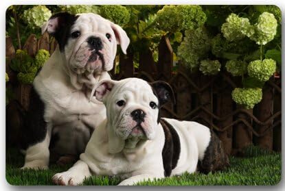 Cute Interesting Bulldog Baby Non-Slip Entryways Indoor/Outdoor Rectangle Floor Mat Doormat - 23.6"(L) x 15.7"(W) Welcome Doormat