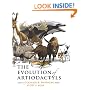 The Evolution of Artiodactyls