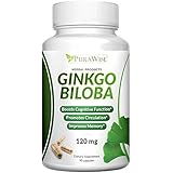 PuraWise Ginkgo Biloba Extract 120mg - 90 Capsules - Standardized Supplement to Boost Physical and Mental Energy