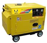 4000 Watt Diesel Generator