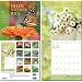 (12x12) Helen Steiner Rice (Flowers) 16-Month Wall Calendar 2011