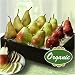 Gourmet Food : Pears to Compare - Organic