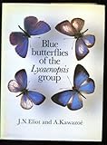 Blue butterflies of the Lycaenopsis group