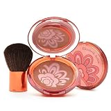 Elizabeth Arden Bronzing Story Powder .3 oz (8.5 g)