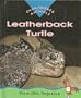 Leatherback Turtle (Endangered Animals Series)