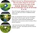 Search : The Guru's Promotion, Success Principles and Inner Game for Shoe Boxes Web Businesses 3 CD Power Pack