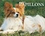 Just Papillons
