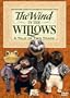 The Wind in the Willows - A Tale of Two Toads