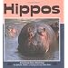 Hippos (Nature Watch)