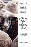 Healing The Hurting Soul: A Survival Manual for the Black Sheep In Every Family