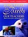 The Birds Our Teachers Image