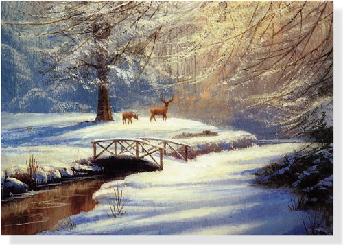 Morning Deer Deluxe Boxed Holiday Cards (Christmas Cards, Holiday Cards, Greeting Cards)