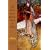 The Door of the Beloved: Poems of Hafiz