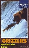 Grizzlies