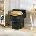 Envirolet Waterless Toilet (Black)