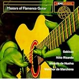 Masters of Flamenco Guitar