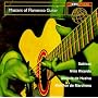 Masters of Flamenco Guitar