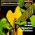 Masters of Flamenco Guitar