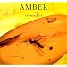 Amber