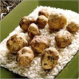 Alba Truffles - Fresh Winter White Truffles from Italy