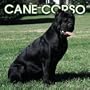 Cane Corso 2005 Calendar