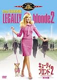 �L���[�e�B�E�u�����h2/�n�b�s�[MAX (���ʕ�) [DVD]