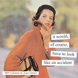 Anne Taintor 2007 Wall Calendar