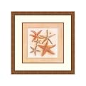 Etoiles de Mer 3 by Laurence David- 20x20"