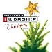 Worship: A Total Christmas Worship Experience