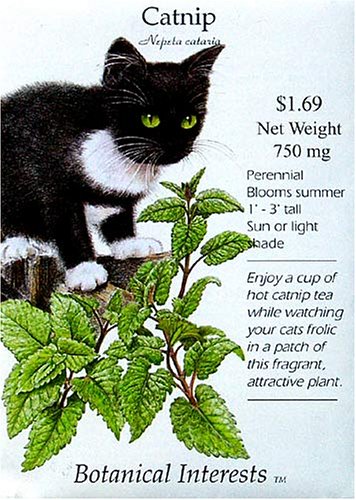 Catnip Seeds