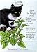 turkish van - Catnip Seeds