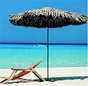 Tiki Umbrella - Thatch 7'