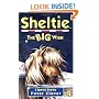 Sheltie Special 6: The Big Wish