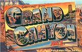 Greetings from the Grand Canyon Ariz.: 20 Postcards from the Past (Vintage Postcard)