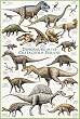 Cretaceous Period Laminated